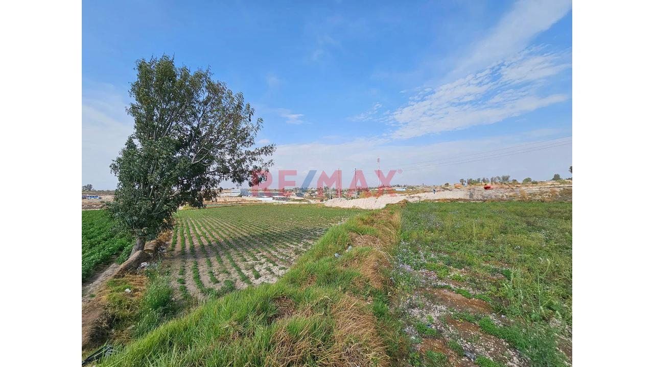 Gran Oportunidad De Inversión En Tiabaya – Arequipa - 3