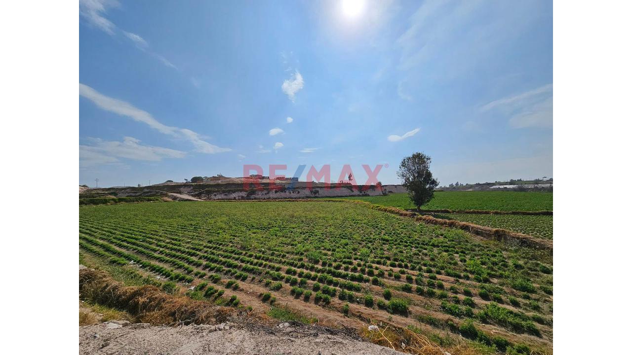 Gran Oportunidad De Inversión En Tiabaya – Arequipa - 4