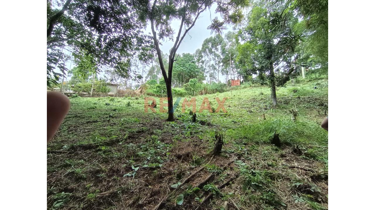 Terreno Turistico Villa Rica Oconal - 3