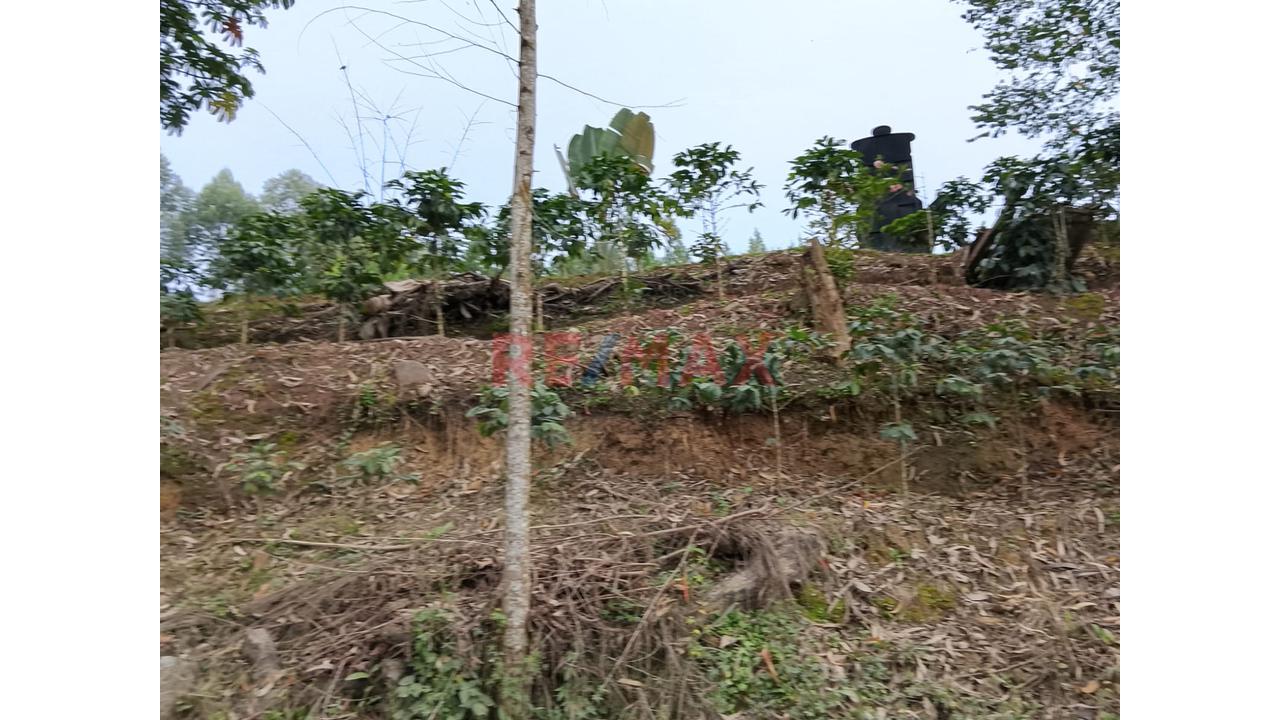 Terreno Turistico Villa Rica Oconal - 9