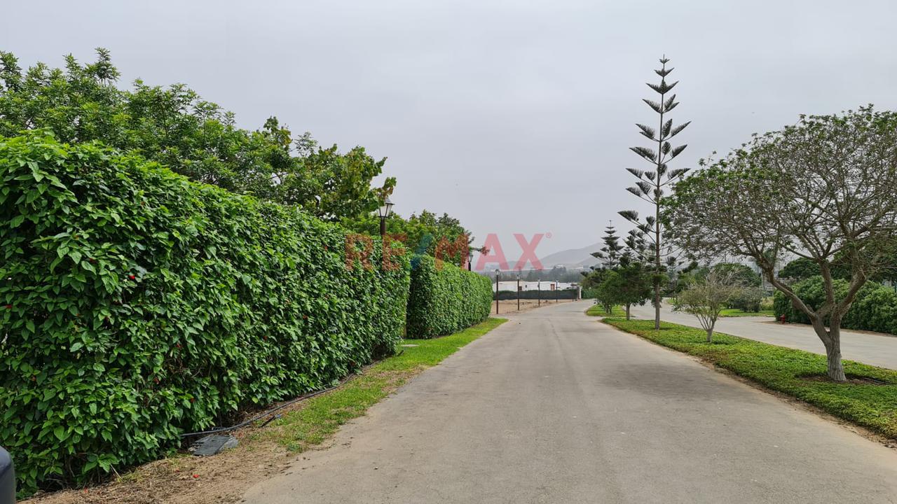 Vendo Terreno De 1,500 M2  Ideal Para Casa De Campo En El Exclusivo Condominio Las Colinas De Puerto Viejo, Km 73.5 De La Panamericana Sur. — foto 5