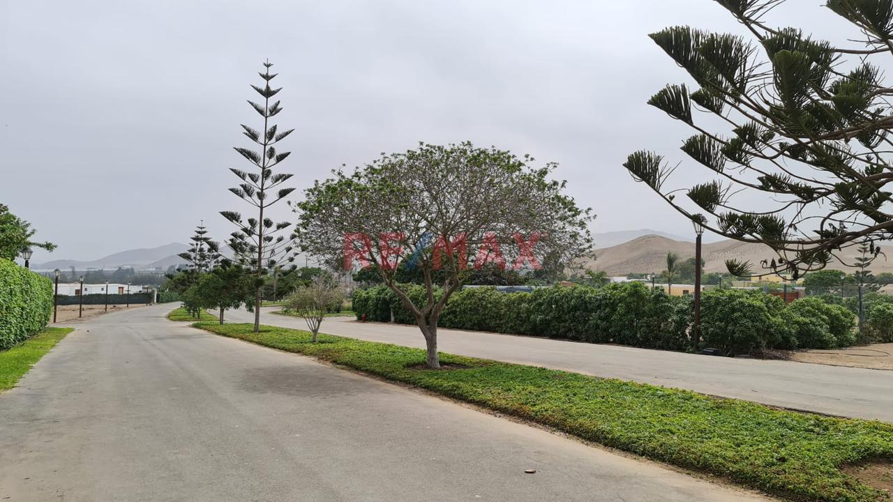 Vendo Terreno De 1,500 M2  Ideal Para Casa De Campo En El Exclusivo Condominio Las Colinas De Puerto Viejo, Km 73.5 De La Panamericana Sur. — foto 13