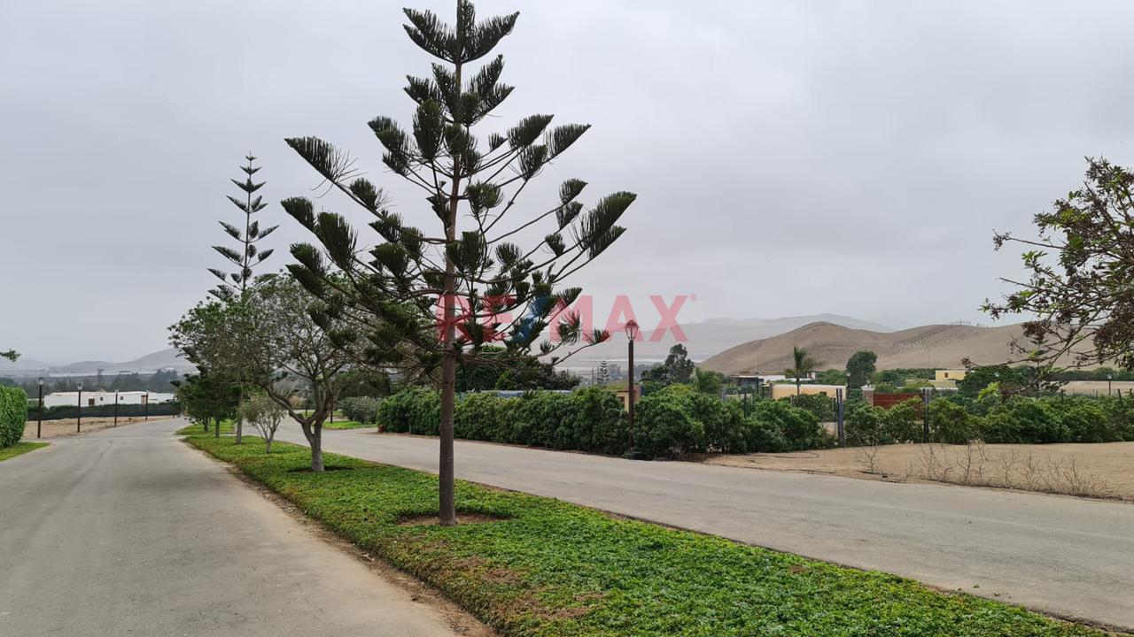Vendo Terreno De 1,500 M2  Ideal Para Casa De Campo En El Exclusivo Condominio Las Colinas De Puerto Viejo, Km 73.5 De La Panamericana Sur. — foto 11