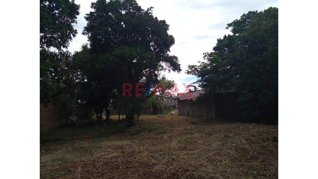 Terreno en Venta ubicado en A.h Nuevo Versalles Terreno en Venta ubicado en A.h Nuevo Versalles