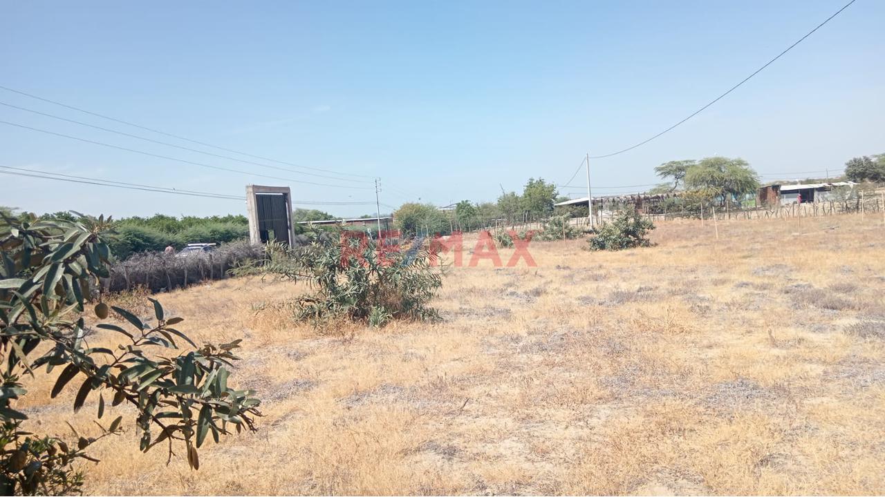 Terreno En Alquilier En Ejidos De Huan - Crecimiento Urbano - 5