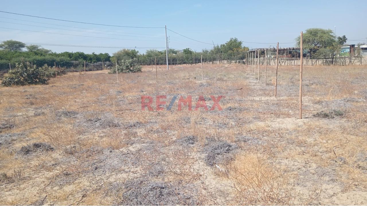 Terreno En Alquilier En Ejidos De Huan - Crecimiento Urbano - 4