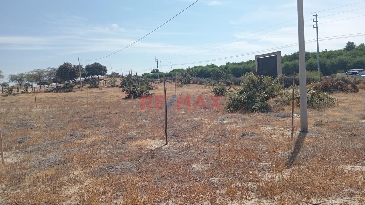 Terreno En Alquilier En Ejidos De Huan - Crecimiento Urbano - 2