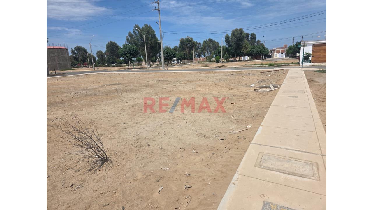 Se Vende Terreno En Chilca En Alameda Lima Sur Etapa Xii - 11