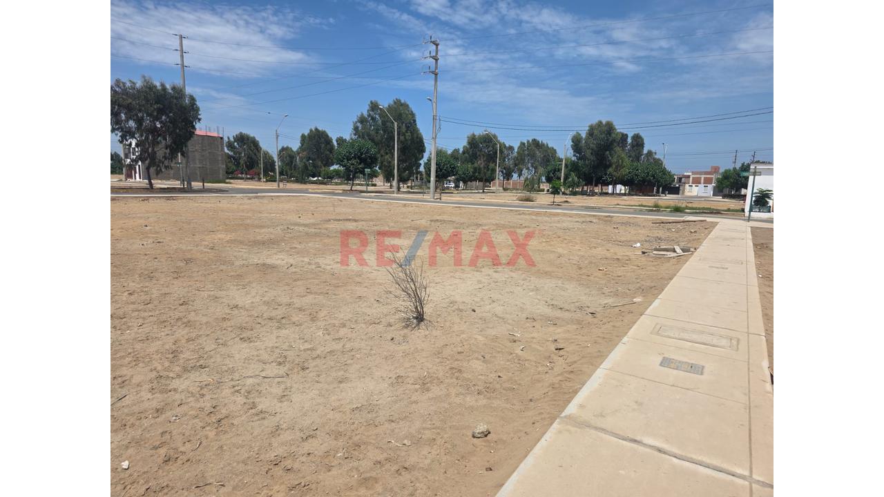 Se Vende Terreno En Chilca En Alameda Lima Sur Etapa Xii - 10
