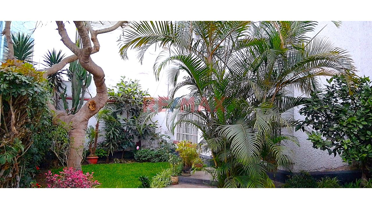 Venta De Casa De Epoca, El Olivar, San Isidro - 6