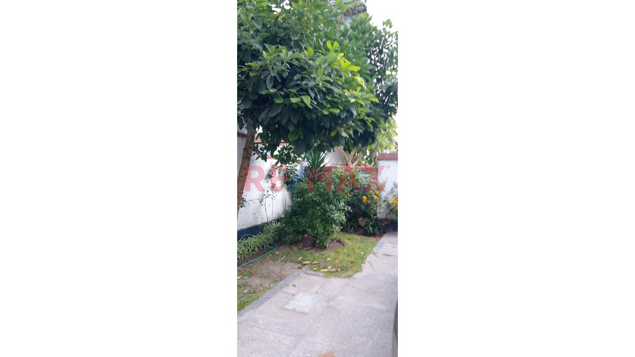 Venta De Casa De Epoca, El Olivar, San Isidro - 10
