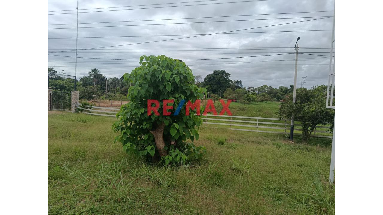 Terreno Agricola Pucalpa Plena Carretera Jorge Basadre Km 15