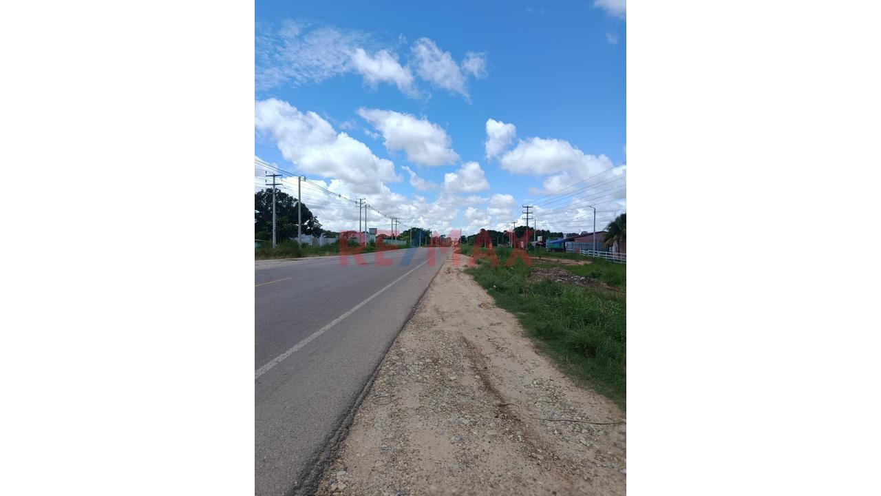 Terreno Agricola Pucalpa Plena Carretera Jorge Basadre Km 15 — foto 2