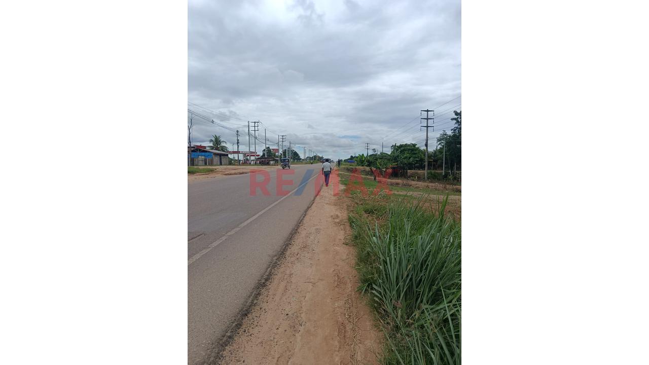 Terreno Agricola Pucalpa Plena Carretera Jorge Basadre Km 15 — foto 5