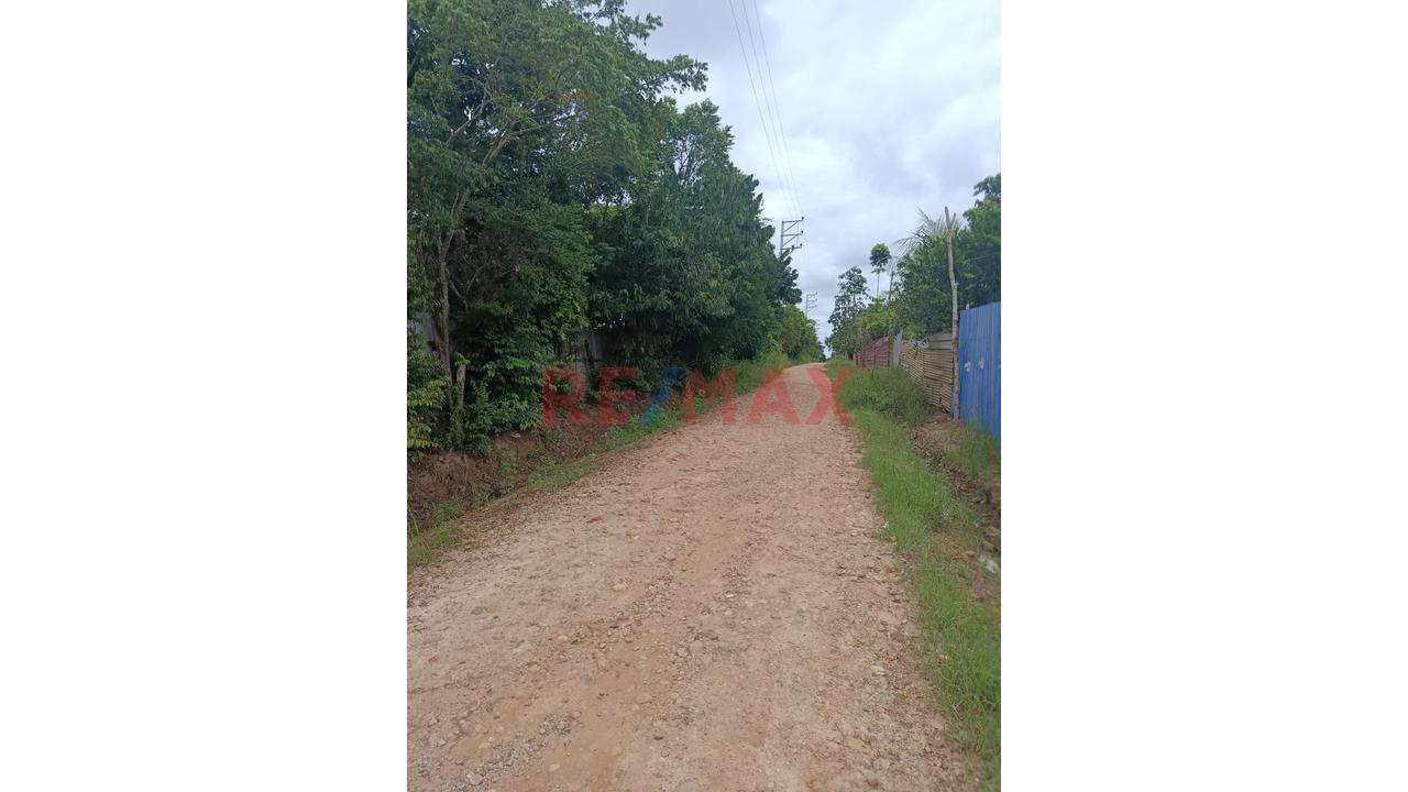 Terreno Agricola Pucalpa Plena Carretera Jorge Basadre Km 15 — foto 6