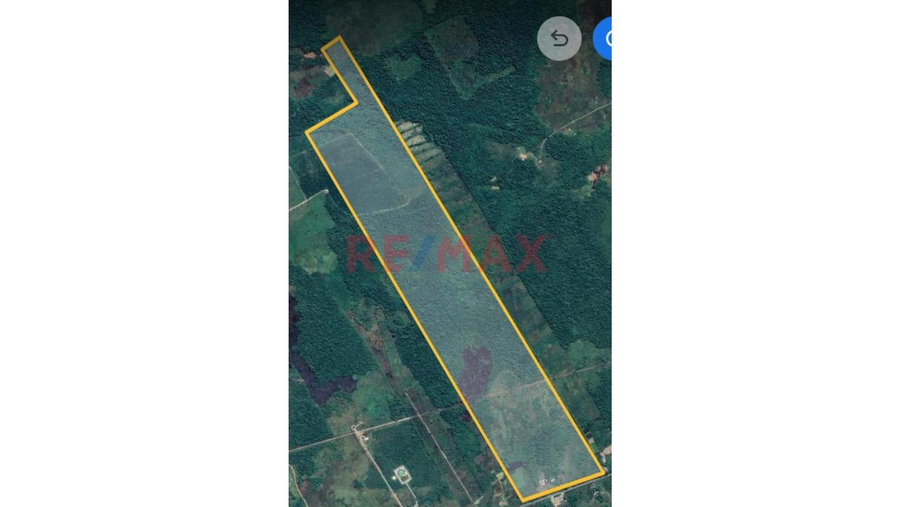 Terreno Agricola Altamente Productivo - Palma Y Otros Importantes Cultivos — foto 2