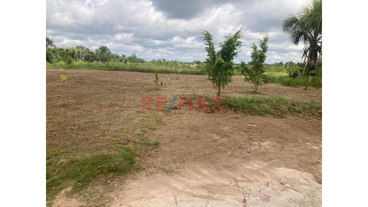 Terreno Agricola Altamente Productivo - Palma Y Otros Importantes Cultivos — foto 11