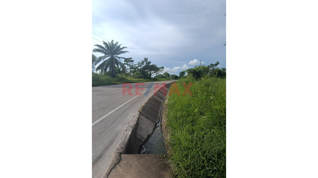 Terreno Agricola Altamente Productivo - Palma Y Otros Importantes Cultivos — foto 14