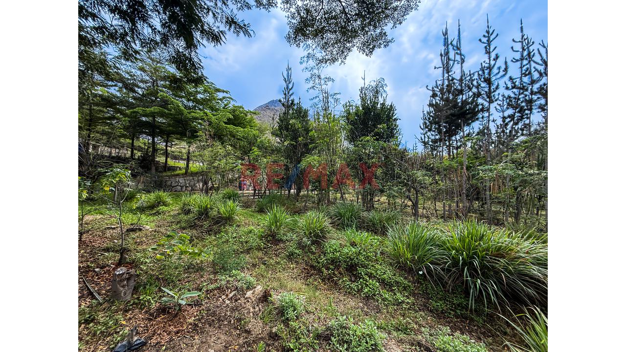 Oportunidad De Inversión Eco Turística Y Casa De Campo En Huarochirí - 13