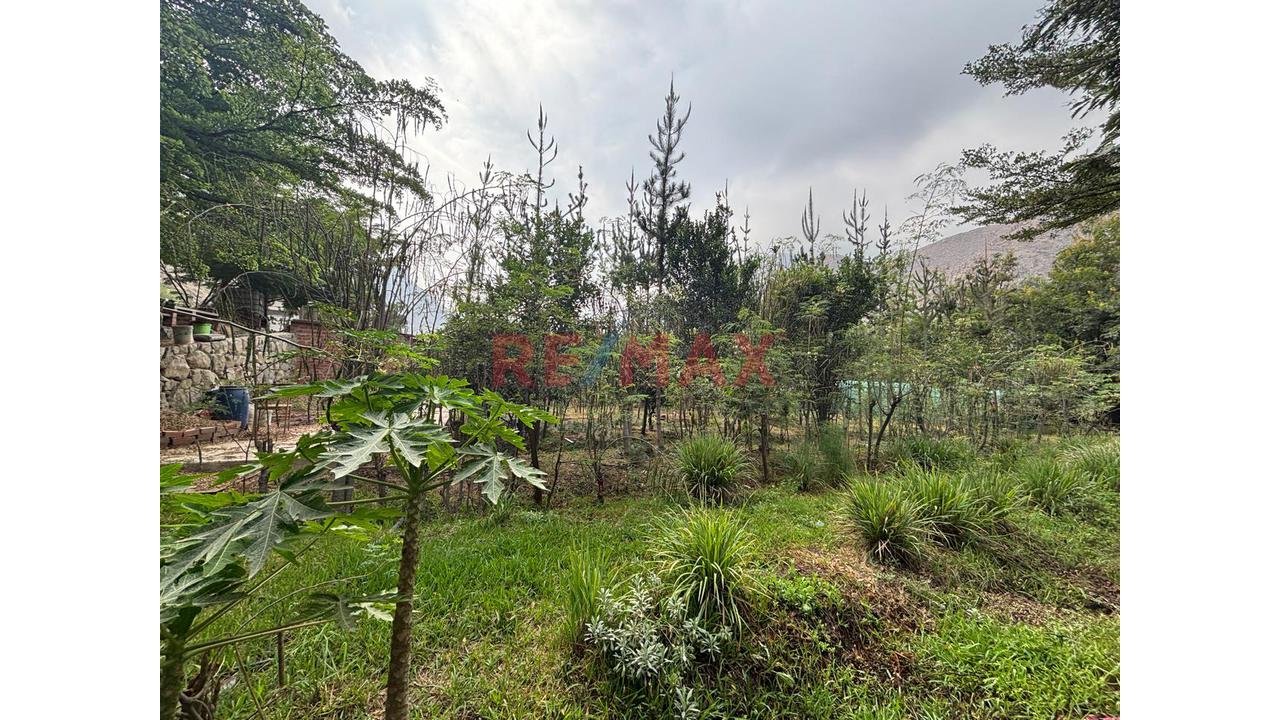 Oportunidad De Inversión Eco Turística Y Casa De Campo En Huarochirí - 21