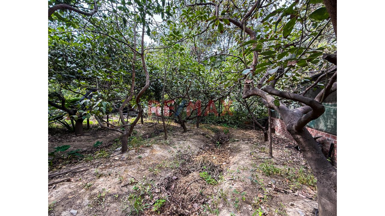 Oportunidad De Inversión Eco Turística Y Casa De Campo En Huarochirí - 12