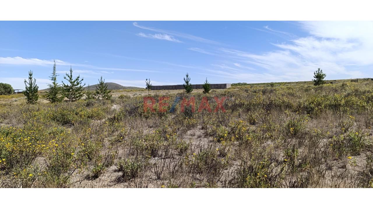🌳 Se Vende Terreno Rustico En Valle Verde En Esquina – Chiguata 🏡 - 5