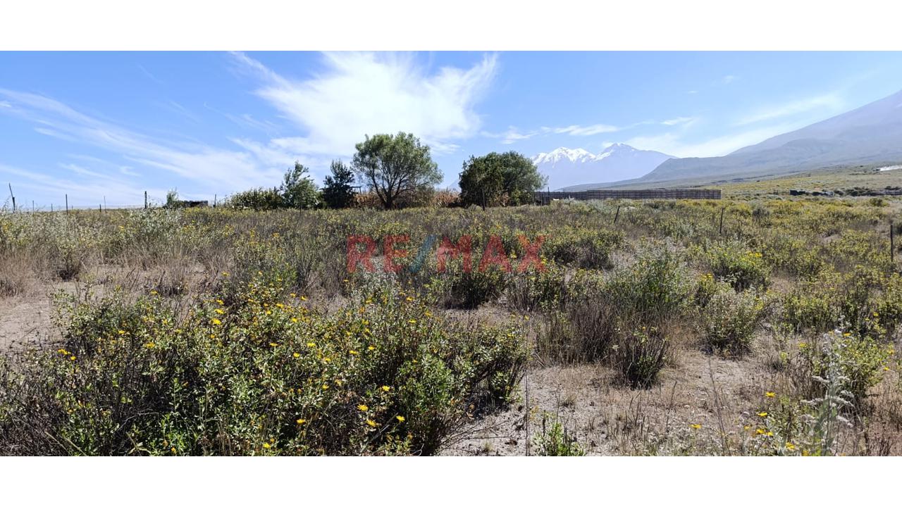 🌳 Se Vende Terreno Rustico En Valle Verde En Esquina – Chiguata 🏡 - 4