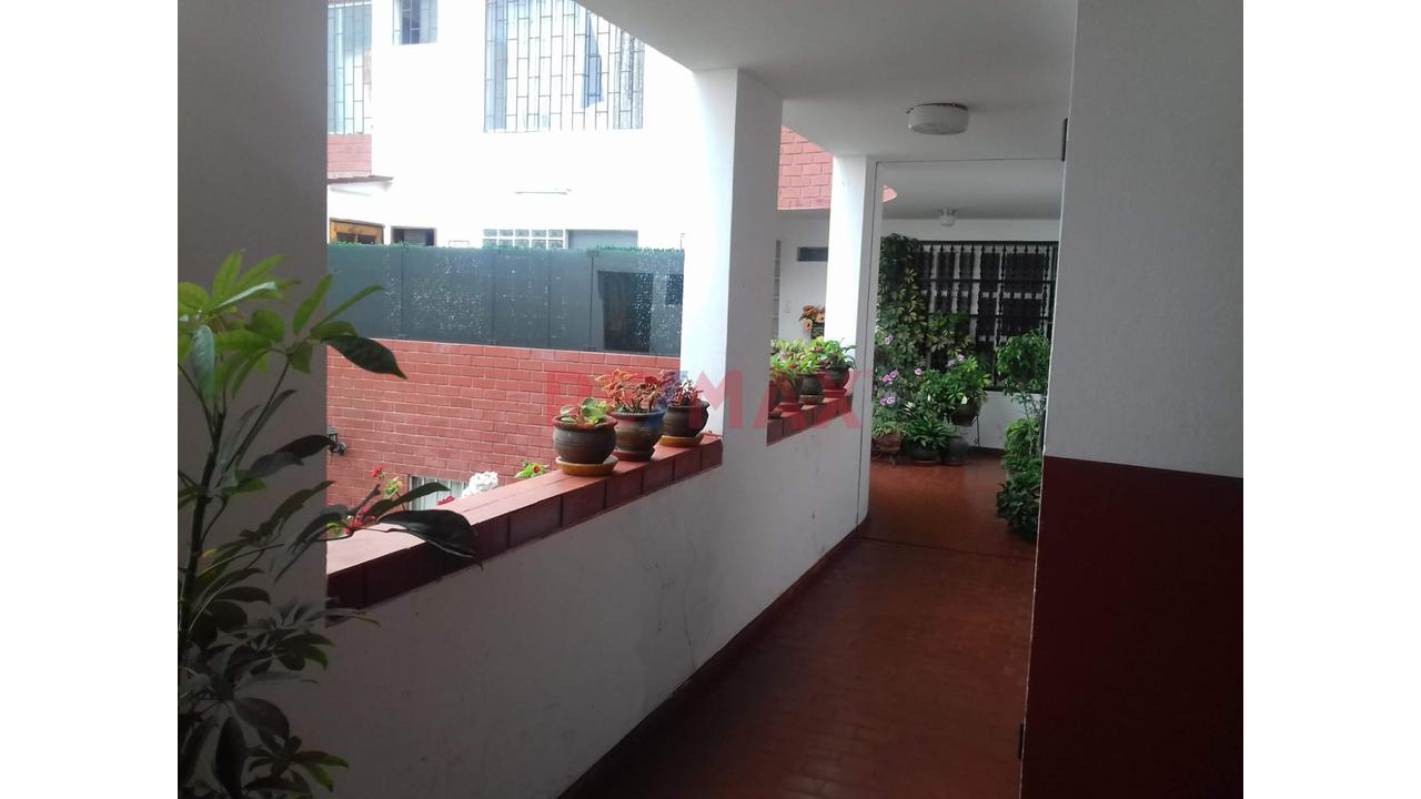 Departamento En Venta En Magdalena Con Amplia Terraza Cerca A Av. Brasil — foto 2