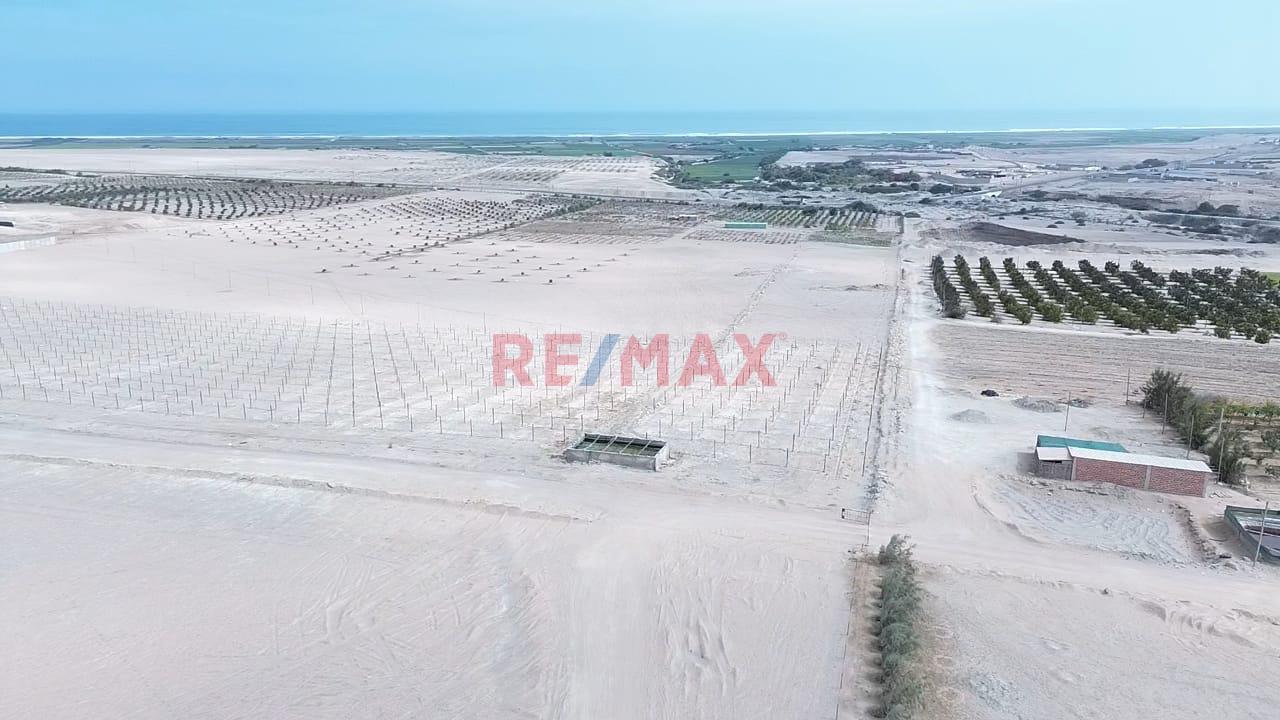 Vendo Parcela Grande Agricola En Pucchún – Camaná - 4