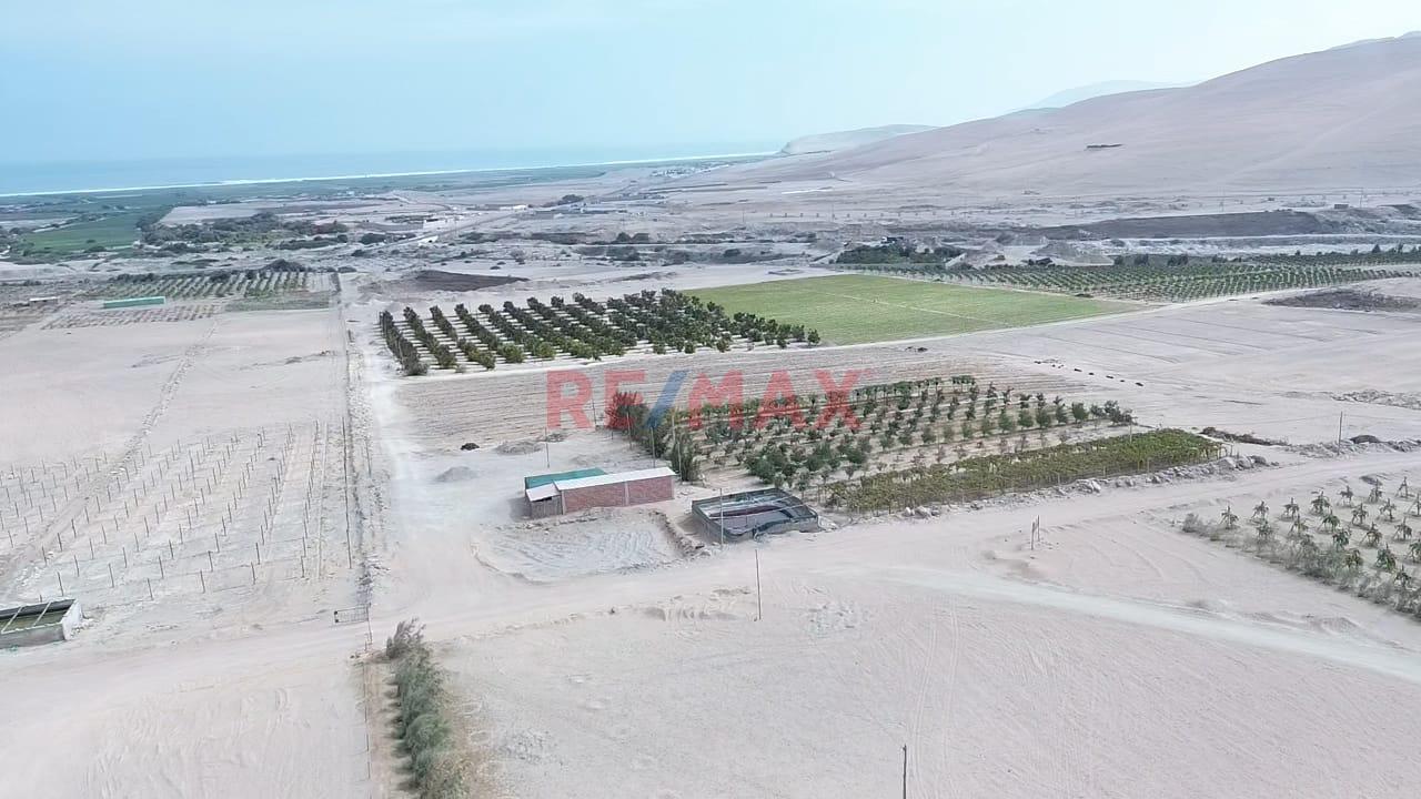 Vendo Parcela Grande Agricola En Pucchún – Camaná - 2