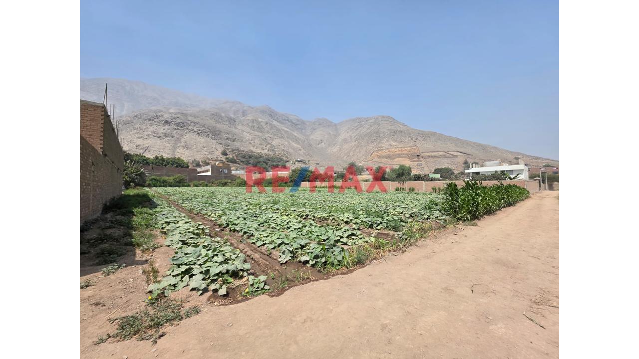 🚀 Venta De Terreno En Chocas Alto – Gran Oportunidad De Inversión 🌱 - 1