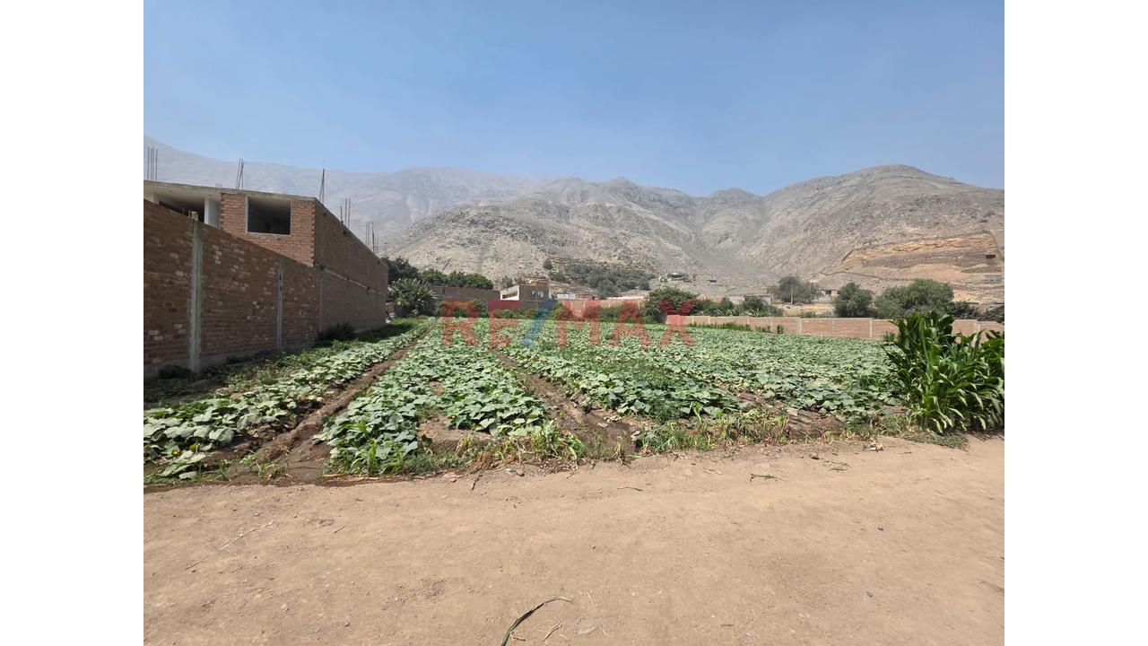 🚀 Venta De Terreno En Chocas Alto – Gran Oportunidad De Inversión 🌱 - 4