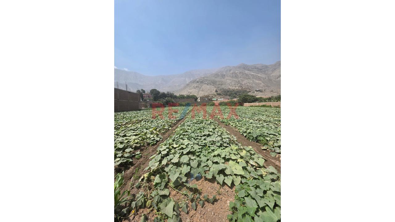 🚀 Venta De Terreno En Chocas Alto – Gran Oportunidad De Inversión 🌱 - 3