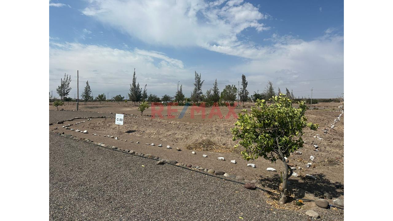 Vendo Hermoso Terreno Urb Andalucia  C- 30 La Cano - Joya Arequipa — foto 3