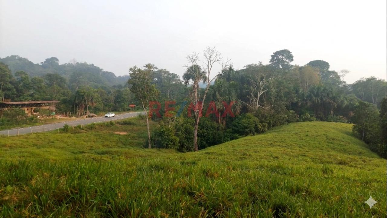Venta De Terreno De 40 Ha: Ideal Para Agroturismo Y Cultivo Agricola - 3