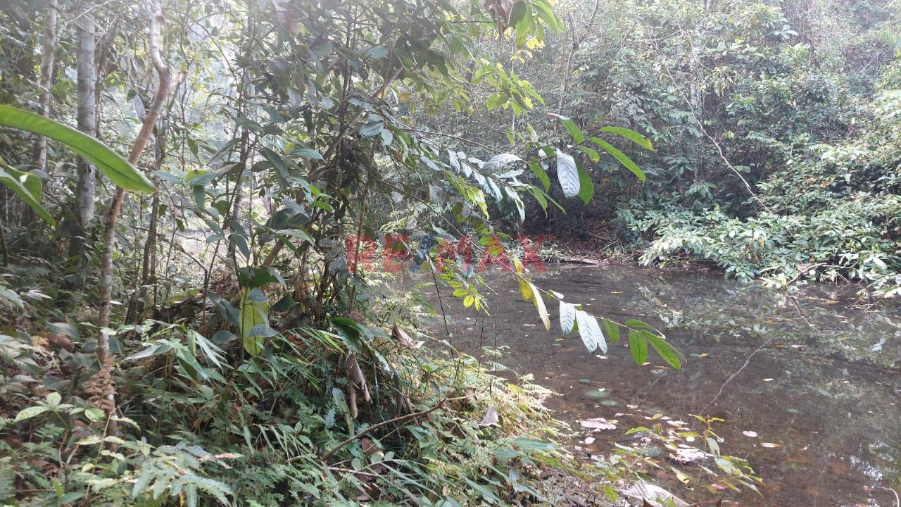 Venta De Terreno De 40 Ha: Ideal Para Agroturismo Y Cultivo Agricola - 5