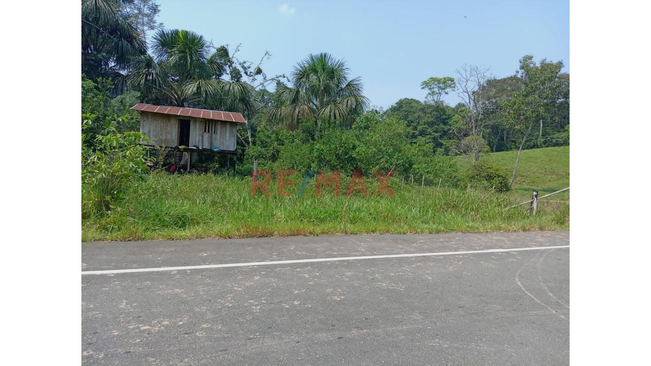 Venta De Terreno De 40 Ha: Ideal Para Agroturismo Y Cultivo Agricola - 4