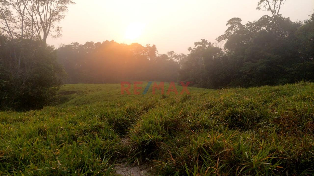 Venta De Terreno De 40 Ha: Ideal Para Agroturismo Y Cultivo Agricola - 1
