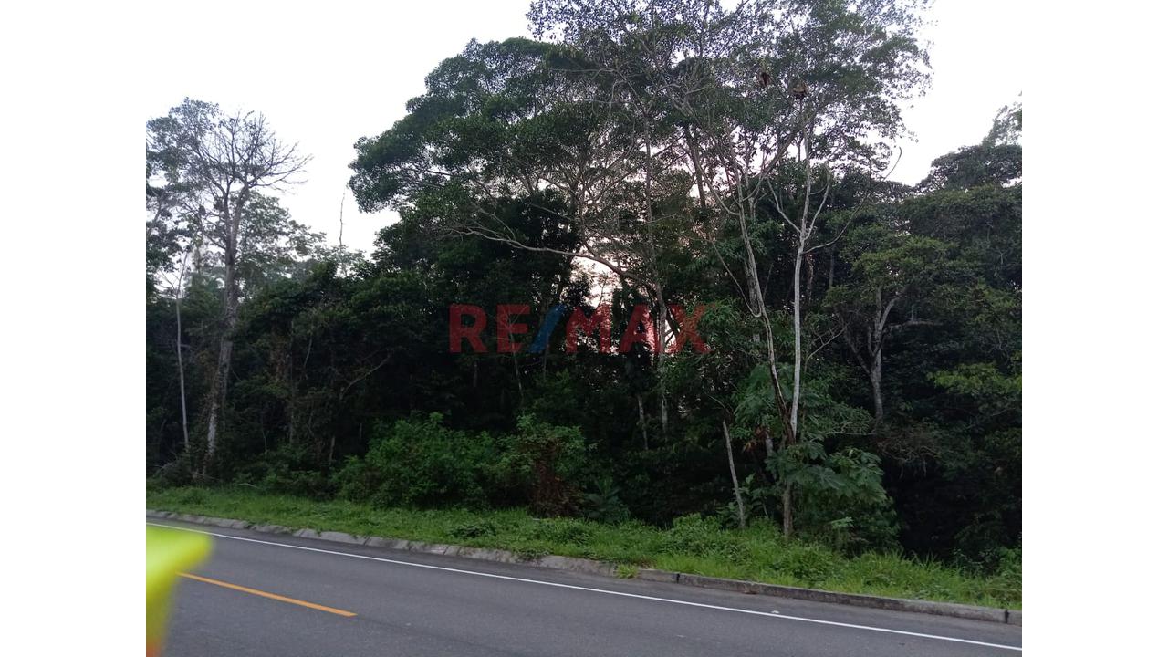 Venta De Terreno De 20 Ha Frente A Avenida Principal Y Carretera Asfaltada - 5