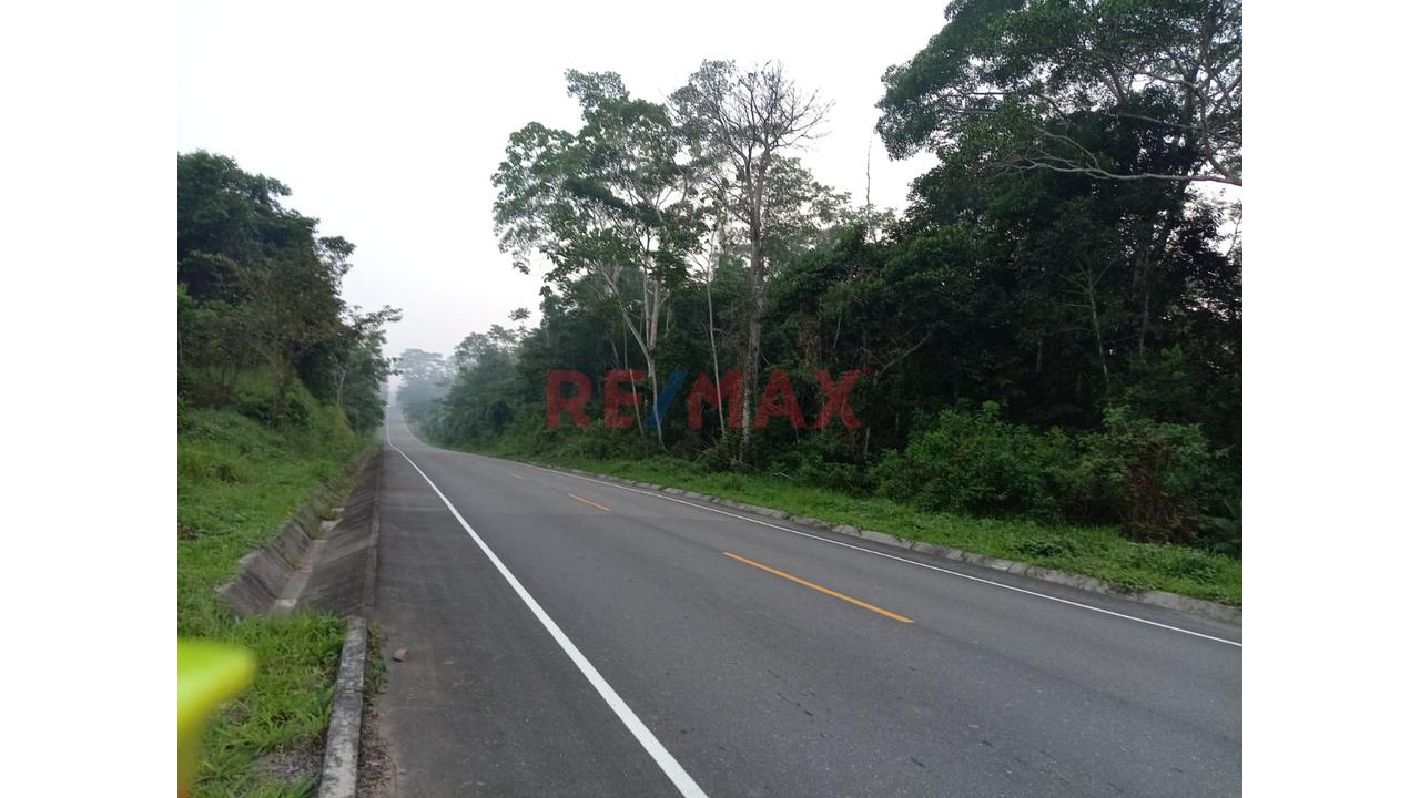 Venta De Terreno De 20 Ha Frente A Avenida Principal Y Carretera Asfaltada - 6