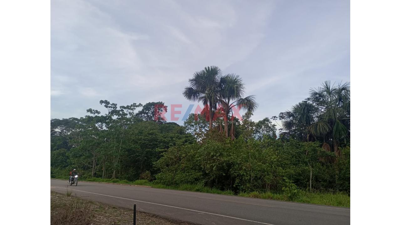 Venta De Terreno De 20 Ha Frente A Avenida Principal Y Carretera Asfaltada - 4