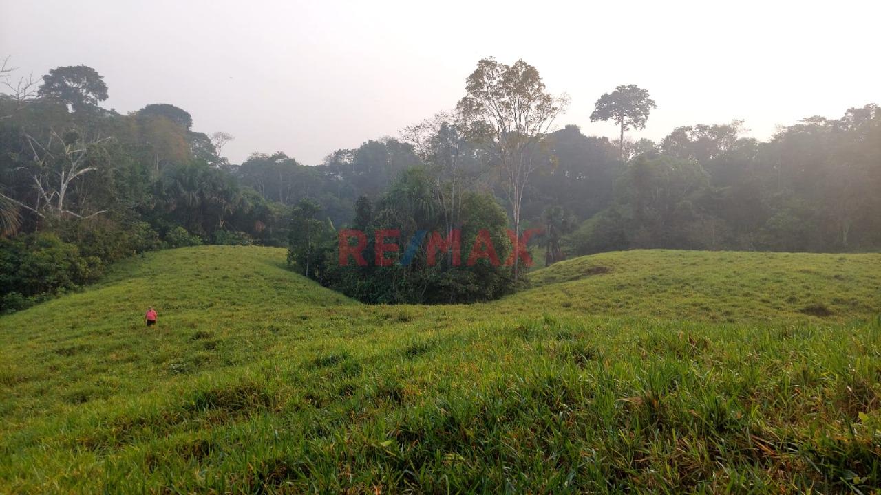 Venta De Terreno De 20 Ha Frente A Avenida Principal Y Carretera Asfaltada - 3