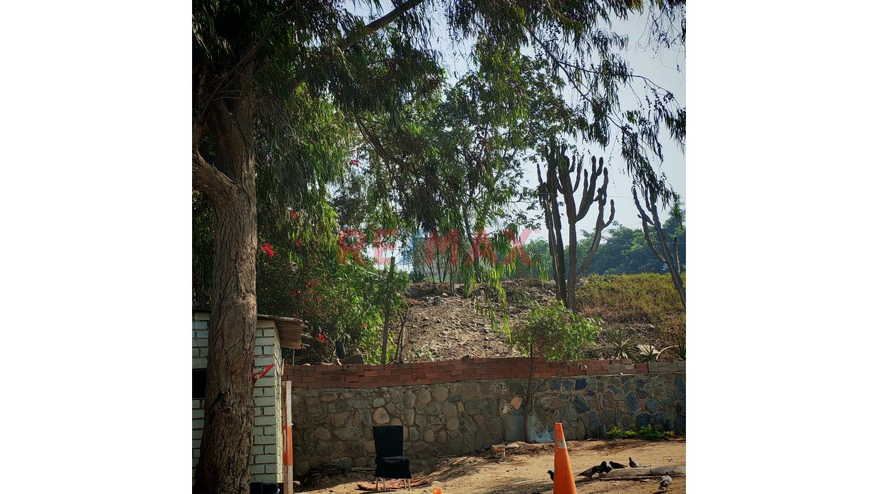 Tu Refugio De Campo En Covilla: Exclusividad Y Alta Revalorización — foto 11