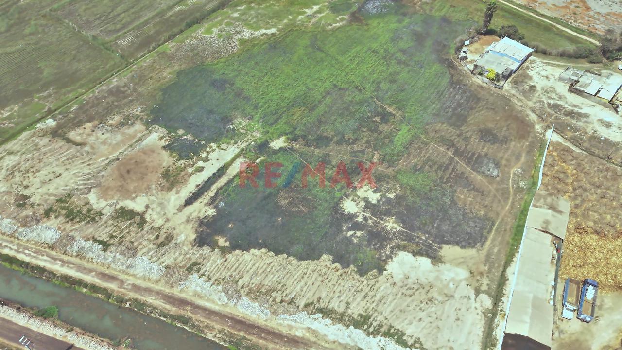 🚨🌱 Activo Agrícola Productivo – Oportunidad Estratégica 🌱🚨 - 3