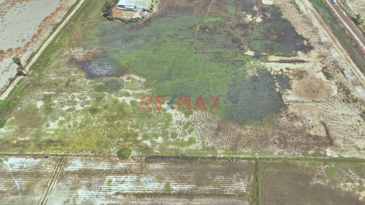 🚨🌱 Activo Agrícola Productivo – Oportunidad Estratégica 🌱🚨 - 4