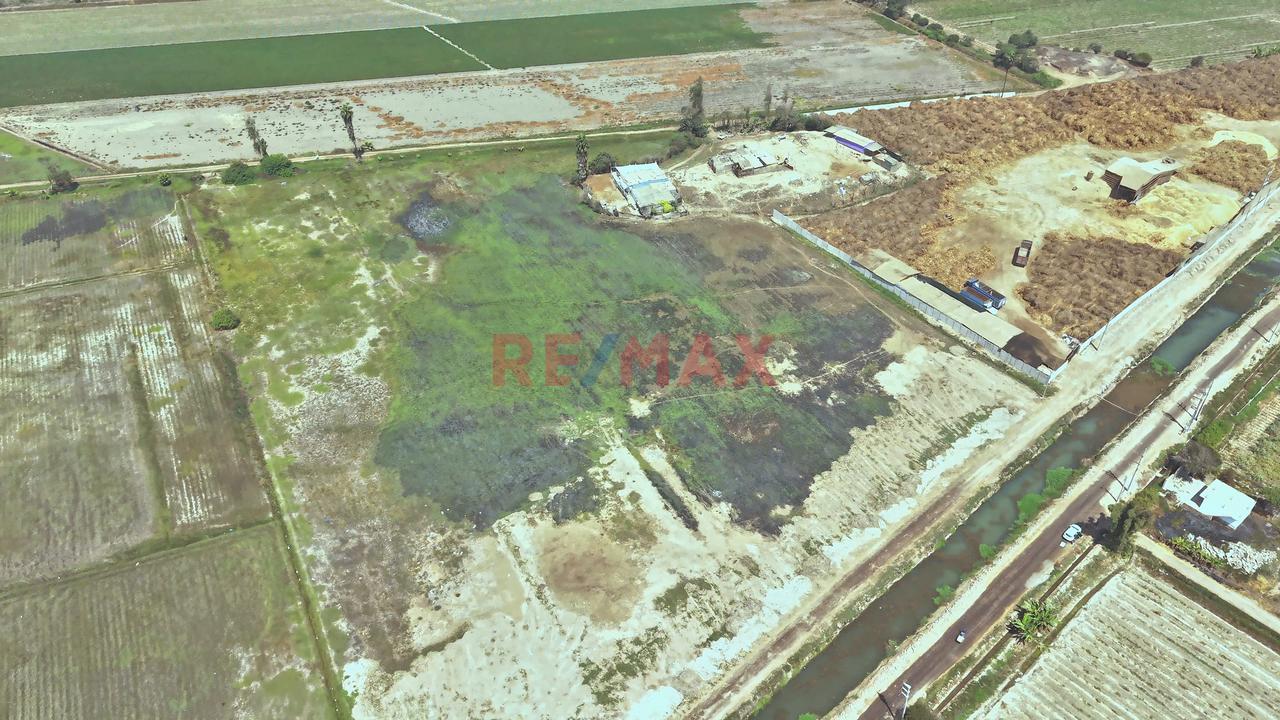 🚨🌱 Activo Agrícola Productivo – Oportunidad Estratégica 🌱🚨 - 5