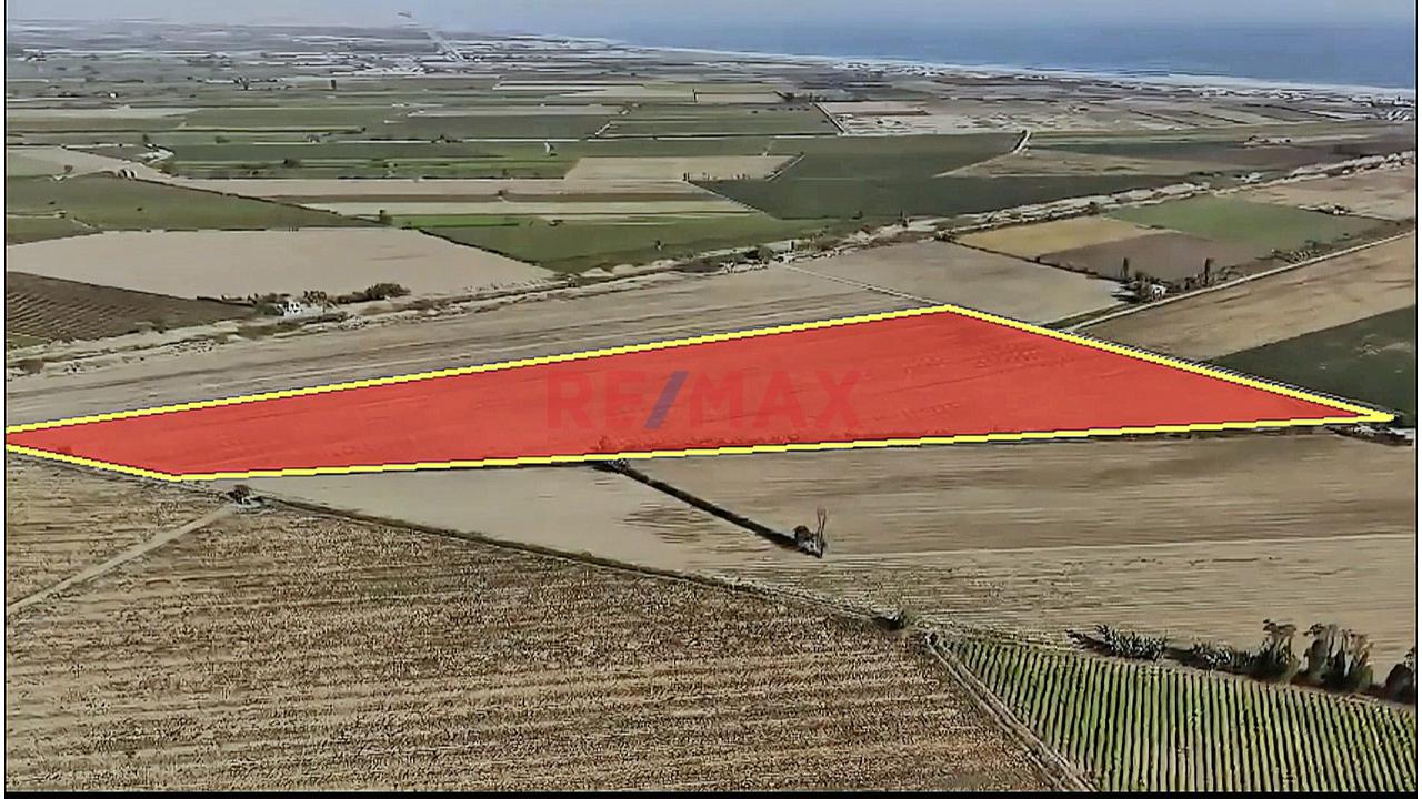 Oportunidad Agrícola En San Vicente De Cañete – Proyecto Mamala 🚜🌱 - 5
