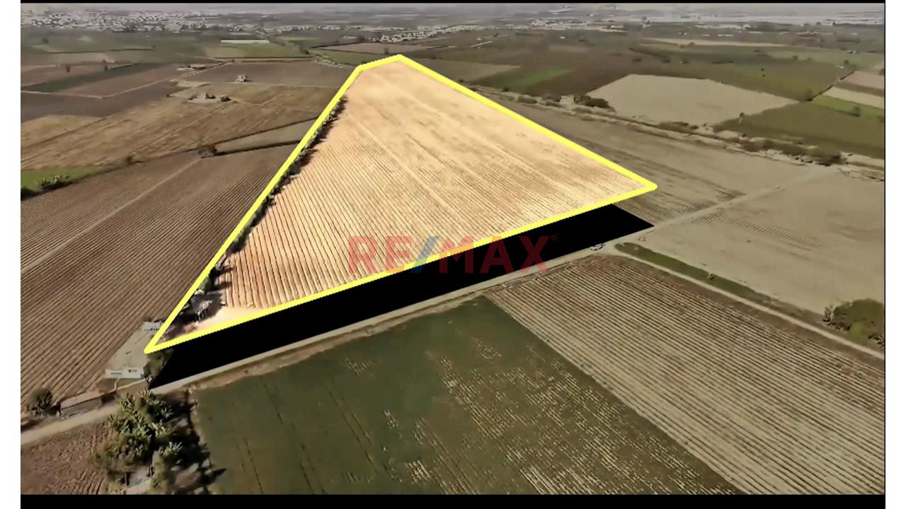 Oportunidad Agrícola En San Vicente De Cañete – Proyecto Mamala 🚜🌱 - 4