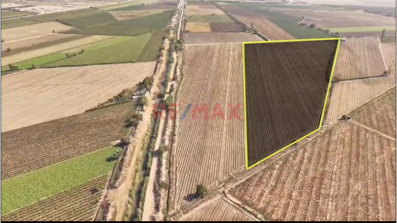 Oportunidad Agrícola En San Vicente De Cañete – Proyecto Mamala 🚜🌱 - 3