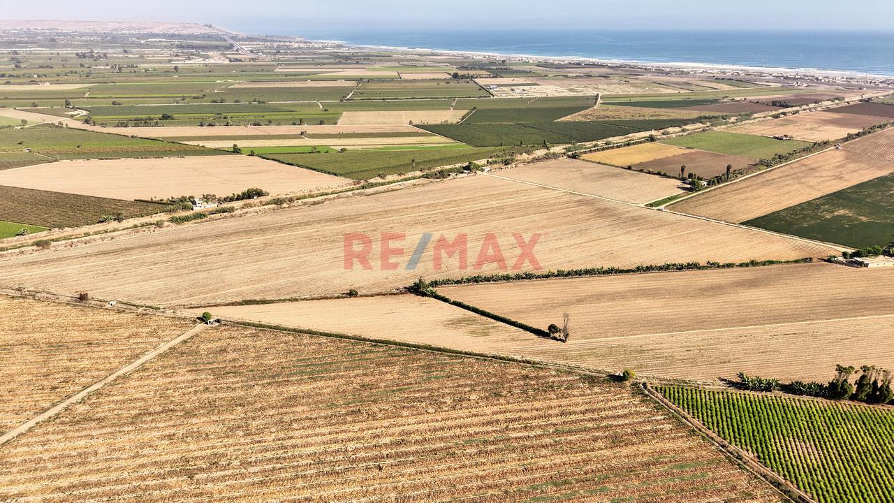 Oportunidad Agrícola En San Vicente De Cañete – Proyecto Mamala 🚜🌱 - 8